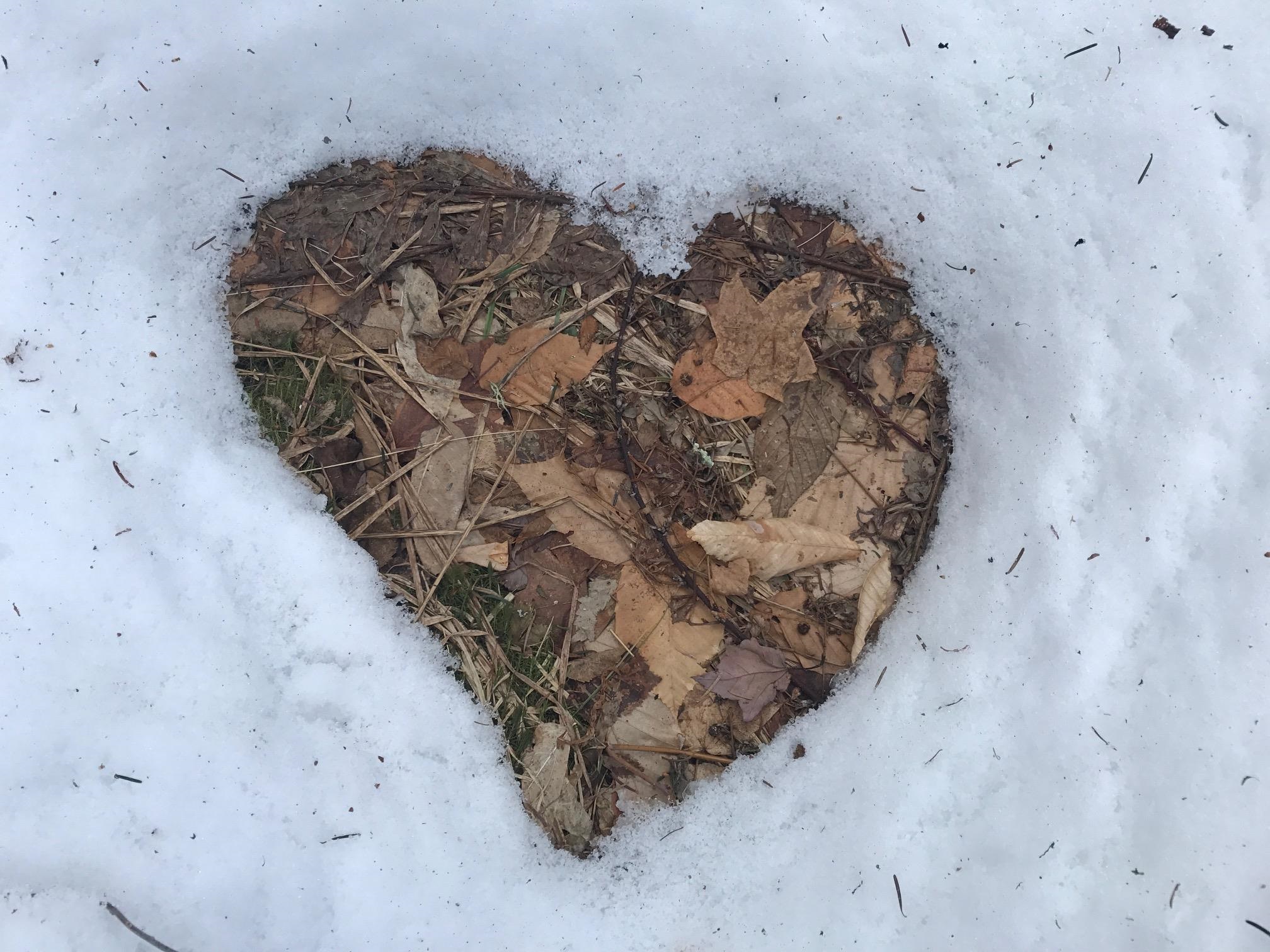 8 A Freestyle Circle, Unit 5 West Dover, VT 05356 - Photo 8 of 8