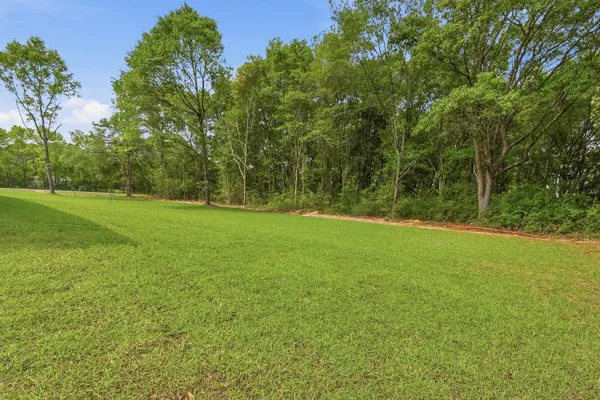 a view of a field with a trees in the background