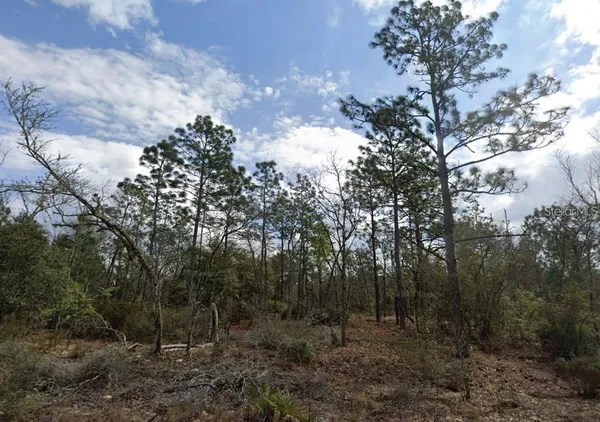 $6,000 | Park Street, Interlachen, FL 32148