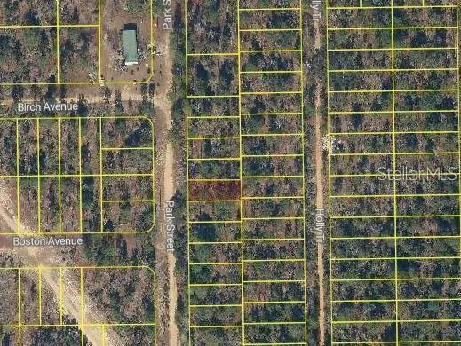 $6,000 | Park Street, Interlachen, FL 32148