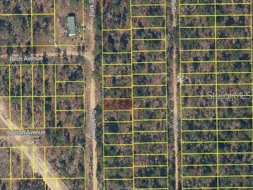 Park Street Interlachen, FL 32148 - Photo 2 of 2