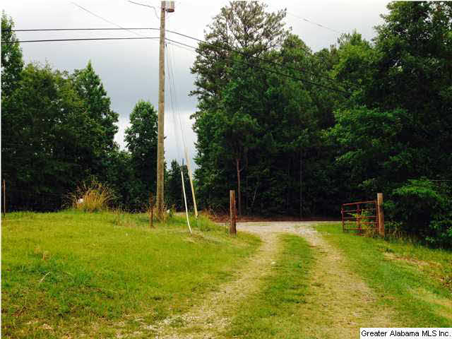 2615 6 Foot Road Ohatchee, AL 36271 - Photo 18 of 22
