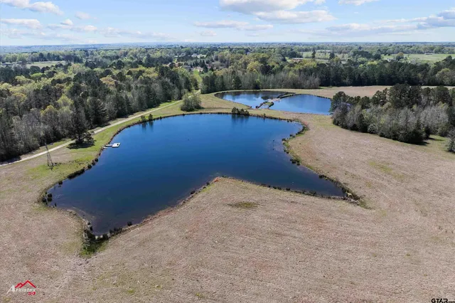 a view of a swimming pool with a yard