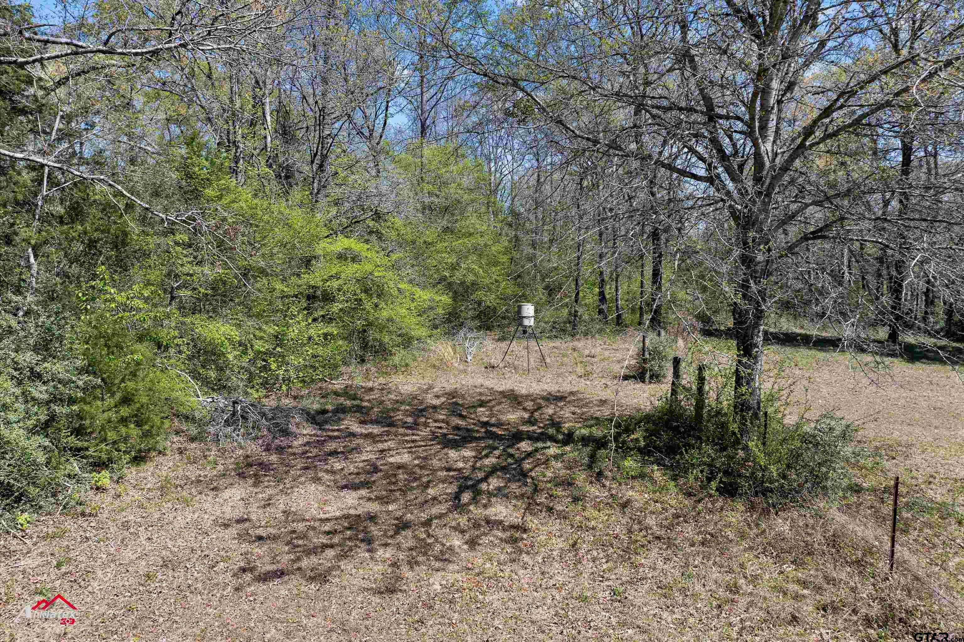 2150 County Road 121 Gary, TX 75643 - Photo 32 of 35 a view of a forest filled with trees