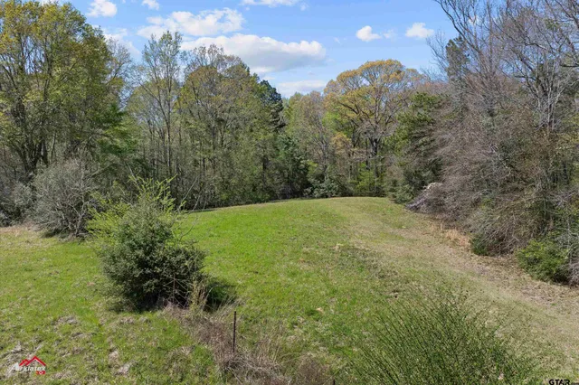 a view of a yard with a house in the background
