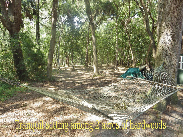 8342 Shell House Road Edisto Island, SC 29438 - Photo 2 of 49 11