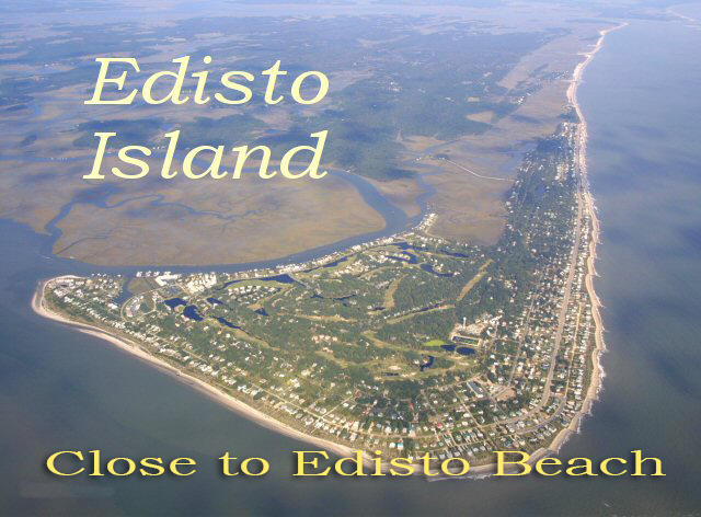8342 Shell House Road Edisto Island, SC 29438 - Photo 36 of 49 35