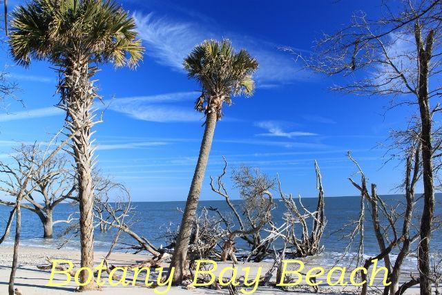 8342 Shell House Road Edisto Island, SC 29438 - Photo 39 of 49 40