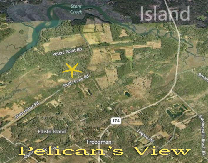 8342 Shell House Road Edisto Island, SC 29438 - Photo 6 of 49 1B