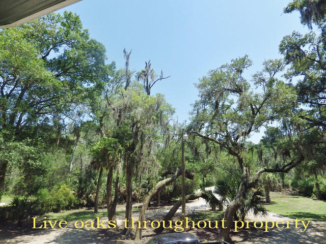 8342 Shell House Road Edisto Island, SC 29438 - Photo 9 of 49 4
