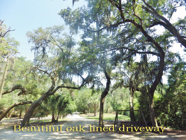 8342 Shell House Road Edisto Island, SC 29438 - Photo 10 of 49 4A