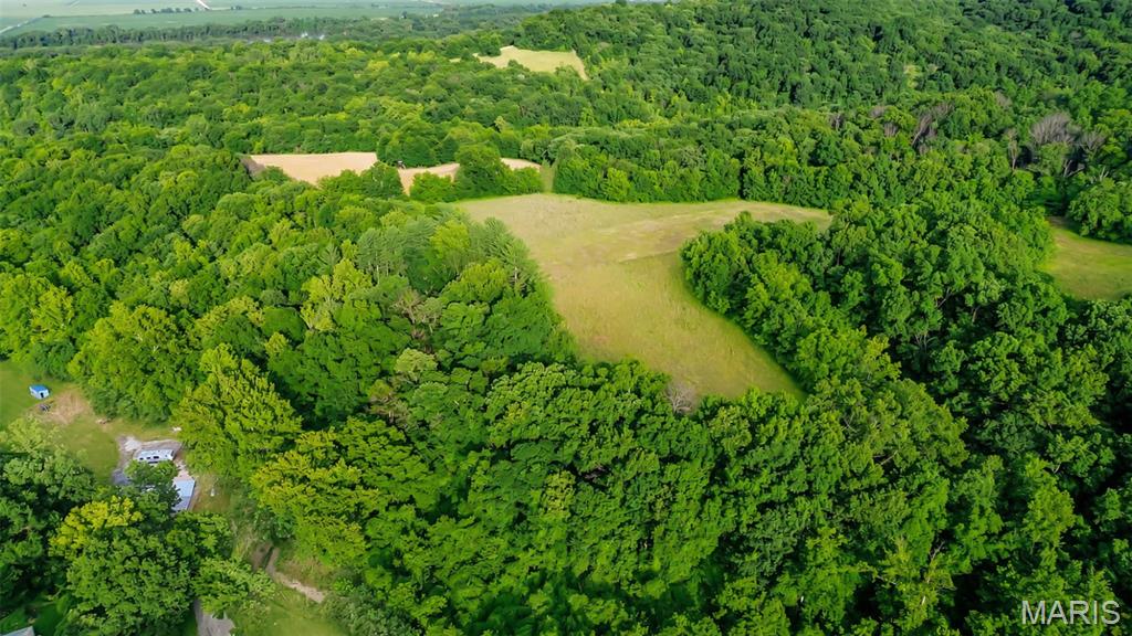 575 Schleeper Hollow Road Hardin, IL 62047 - Photo 12 of 61