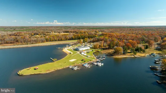 a view of a yard with trees and wooden fence