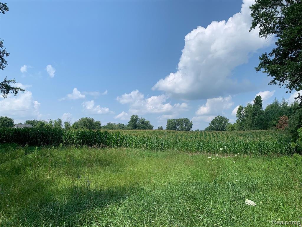 Vl Bowers Road Lapeer, MI 48446 - Photo 4 of 5