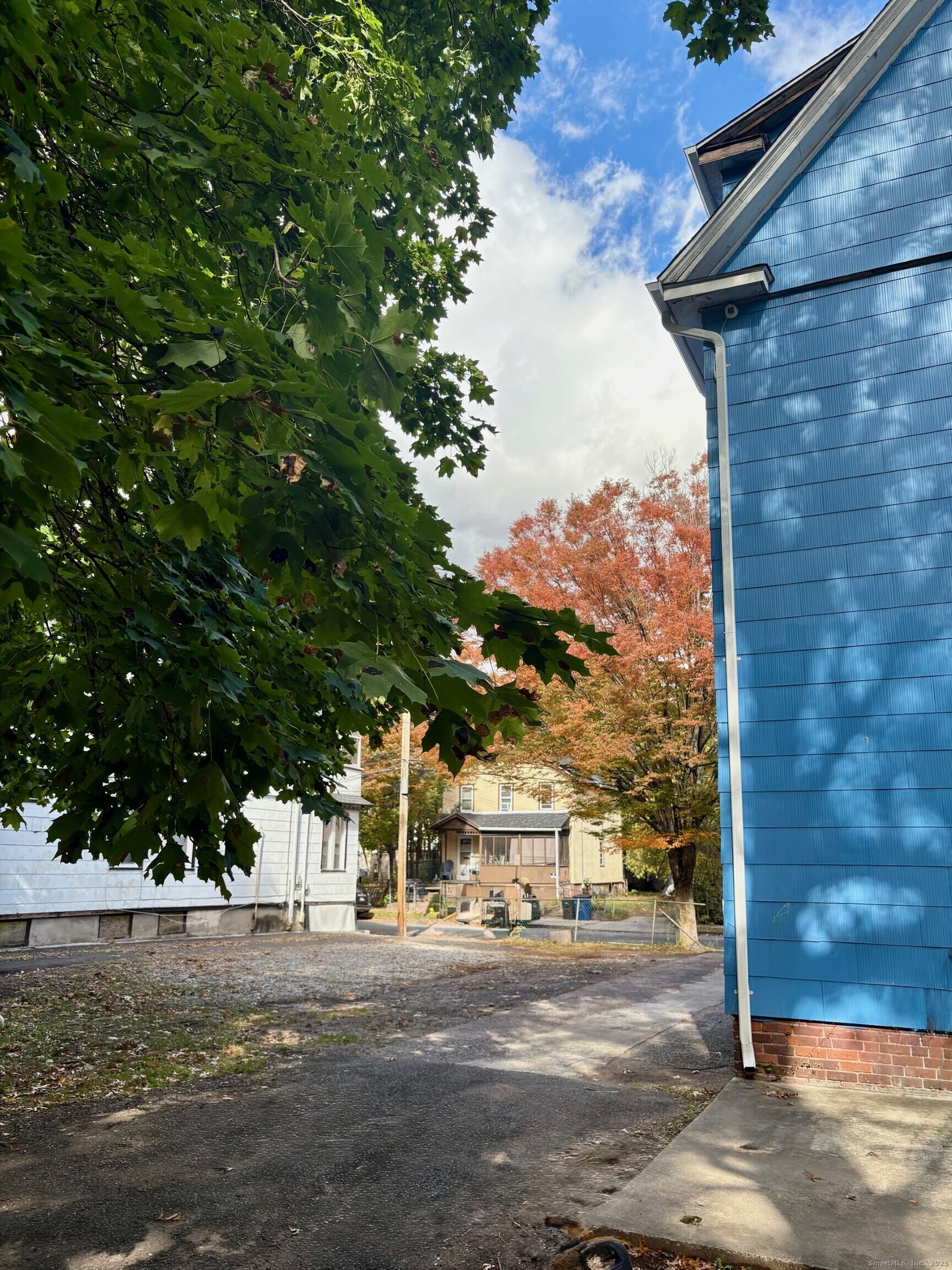 8 Read Street New Haven, CT 06511 - Photo 3 of 21 a view of a yard with a tree