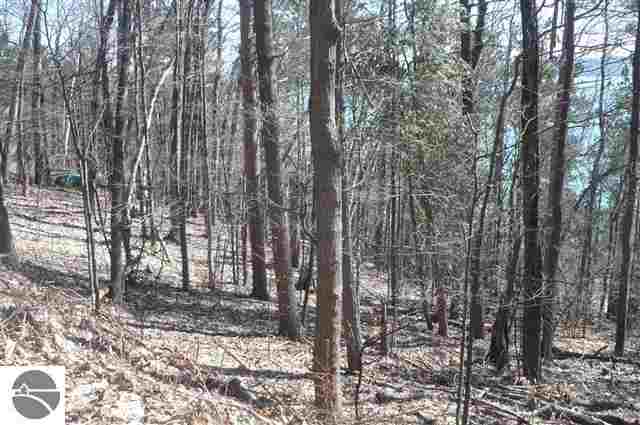 0 Spring Valley Beulah, MI 49617 - Photo 5 of 25