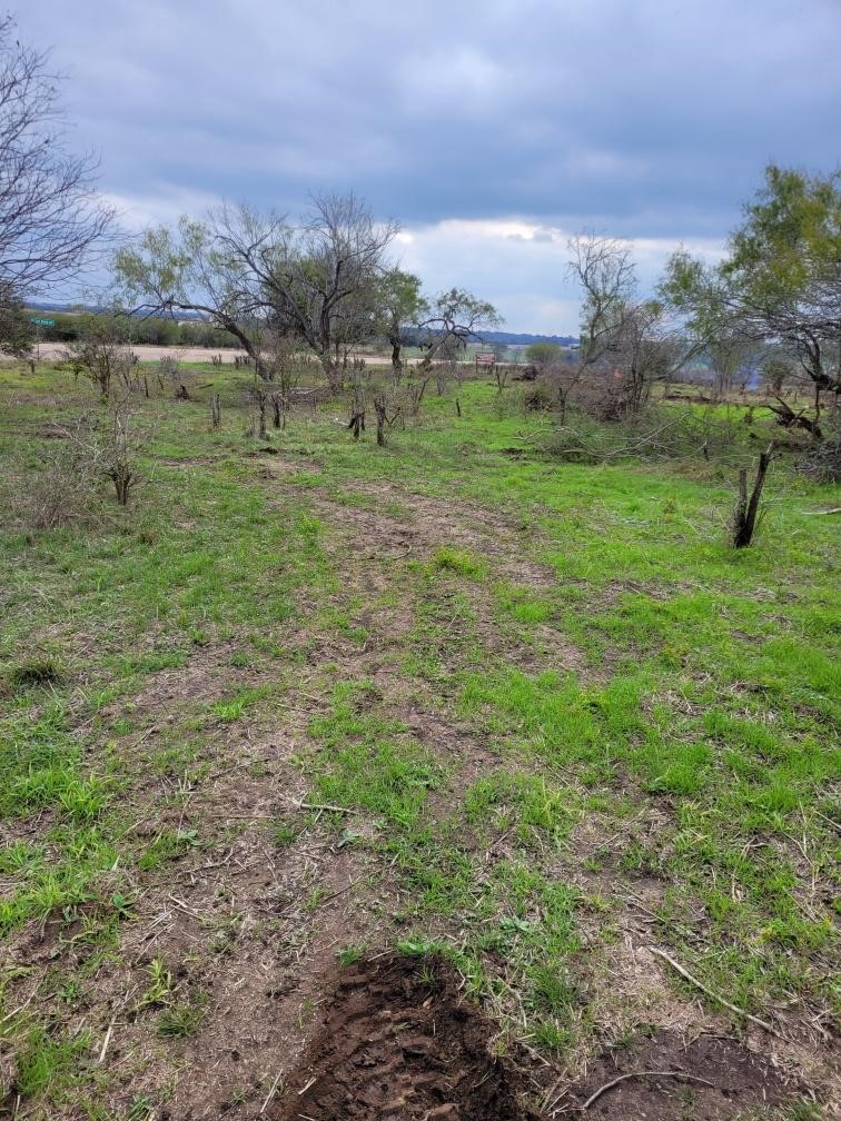 0 Emil Blank Road Yoakum, TX 77995 - Photo 4 of 7