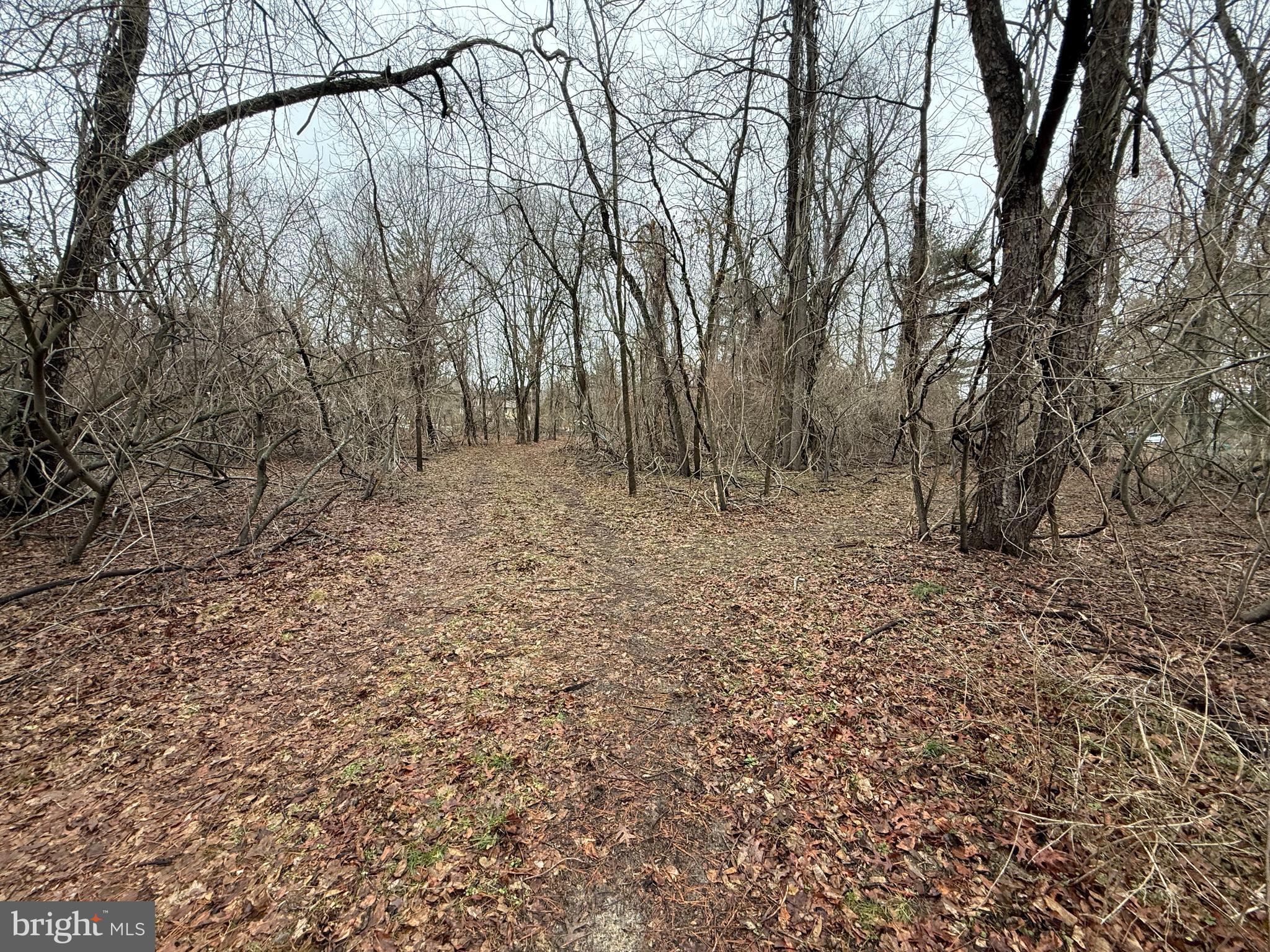 0 Waterford Road Hammonton, NJ 08037 - Photo 2 of 3