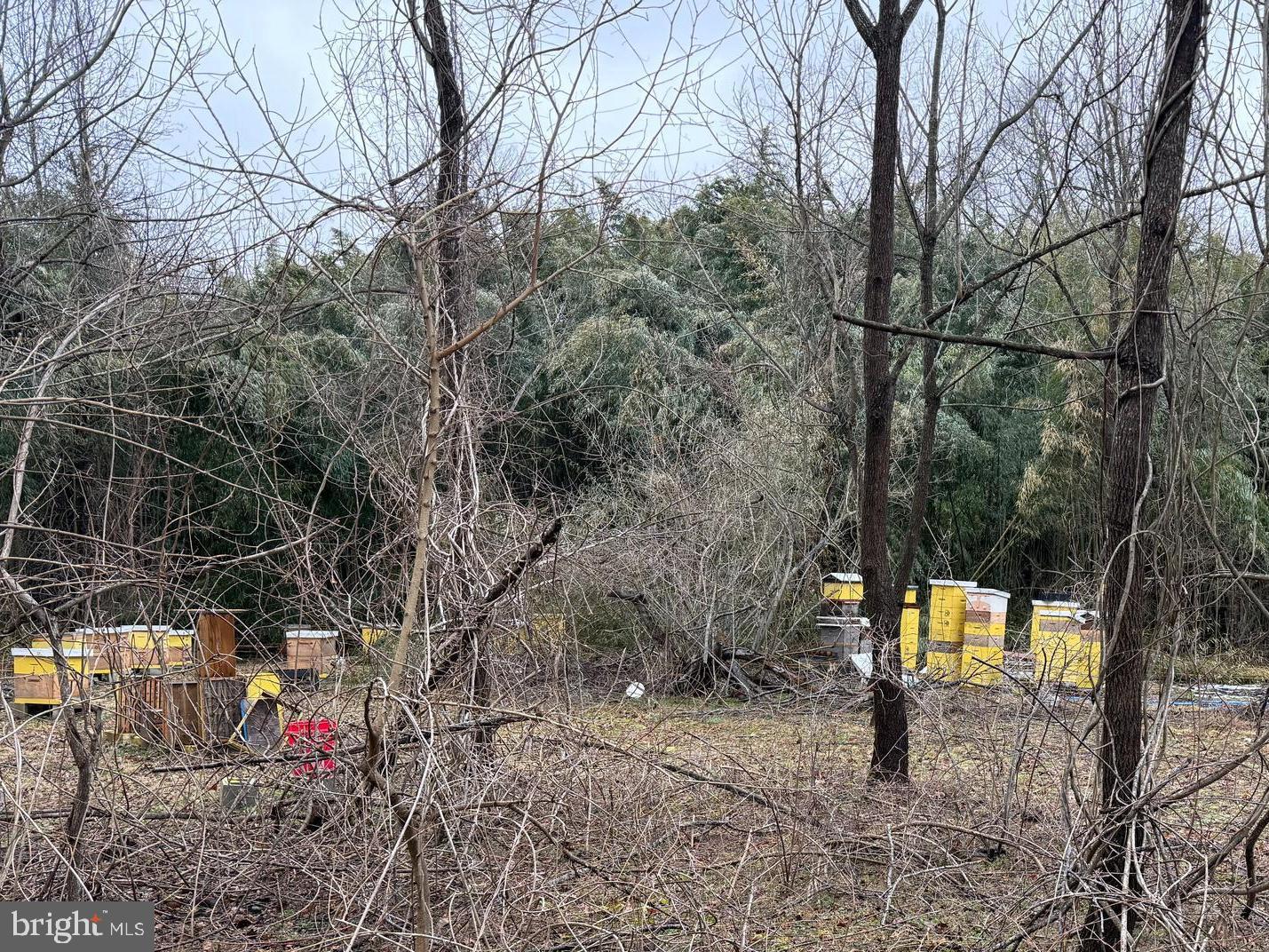 0 Waterford Road Hammonton, NJ 08037 - Photo 3 of 3