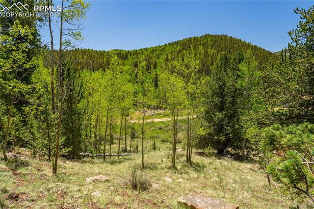 0 Beaver Valley Road Victor, CO 80860 - Photo 16 of 38 Gallery Image 16