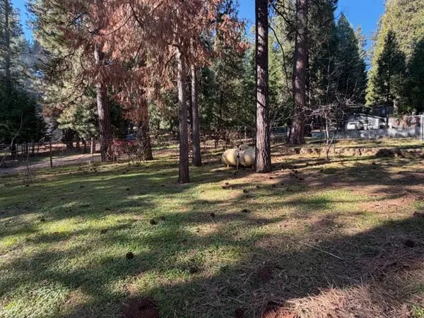 a backyard of a house with lots of green space