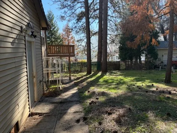 a view of a yard with plants and large tree