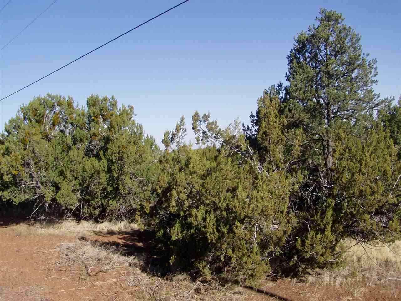 Lot 102 Ranch Road Concho, AZ 85924 - Photo 1 of 5
