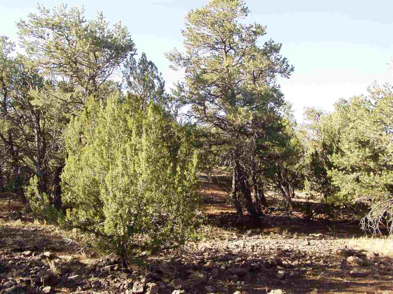 Lot 102 Ranch Road Concho, AZ 85924 - Photo 2 of 5