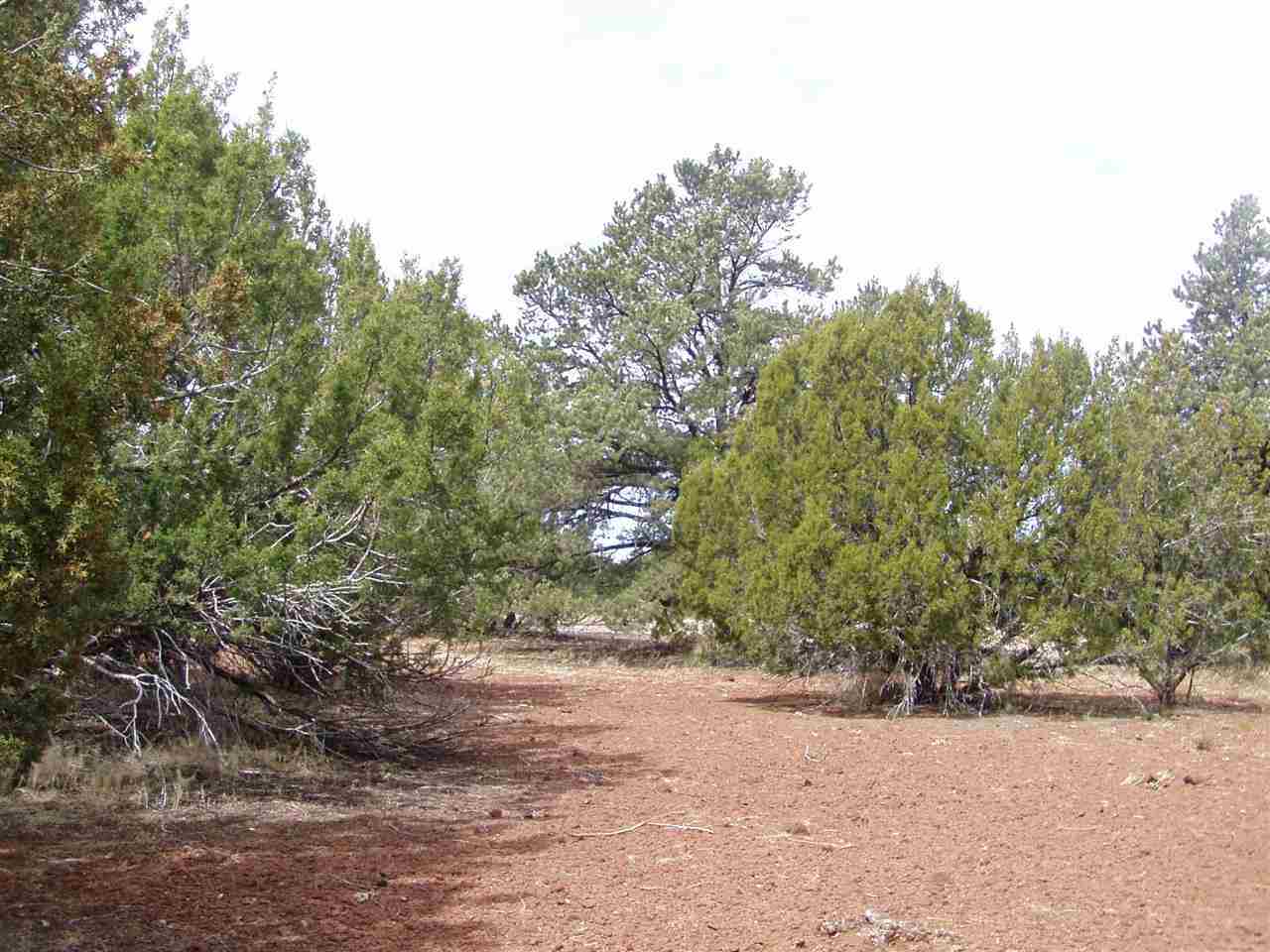 Lot 102 Ranch Road Concho, AZ 85924 - Photo 4 of 5