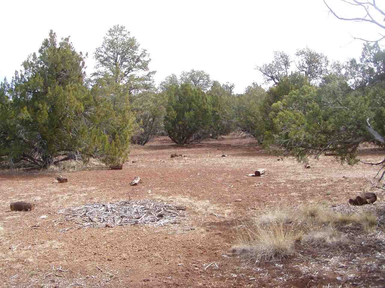 Lot 102 Ranch Road Concho, AZ 85924 - Photo 5 of 5