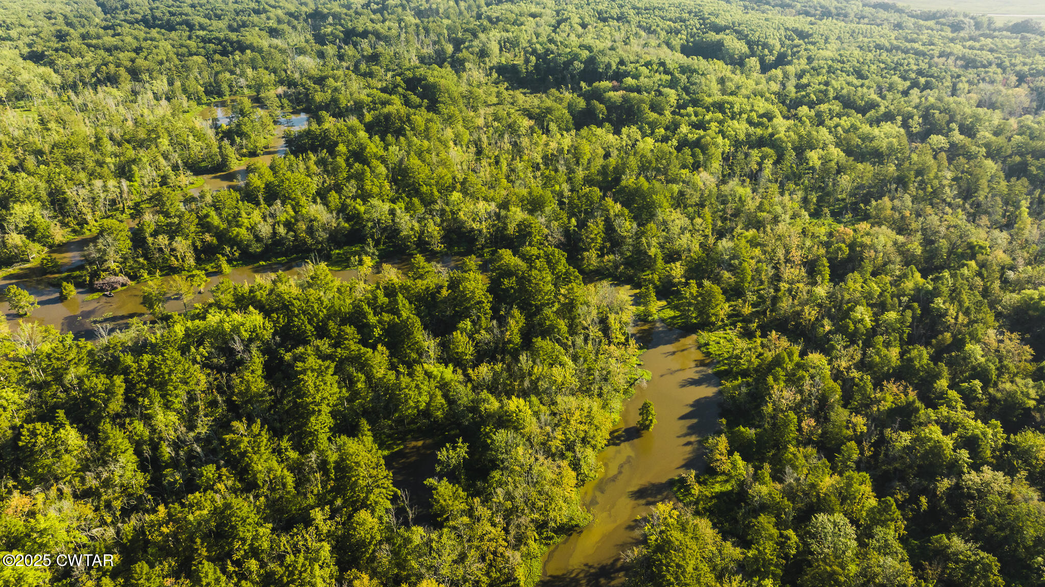 0 Brazil Eaton Road Trenton, TN 38382 - Photo 11 of 27 a view of a yard