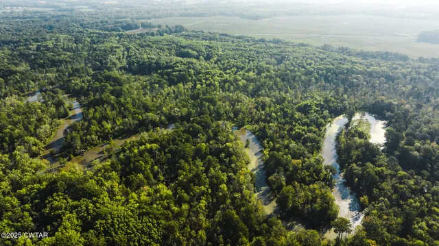 a view of a field of grass and trees