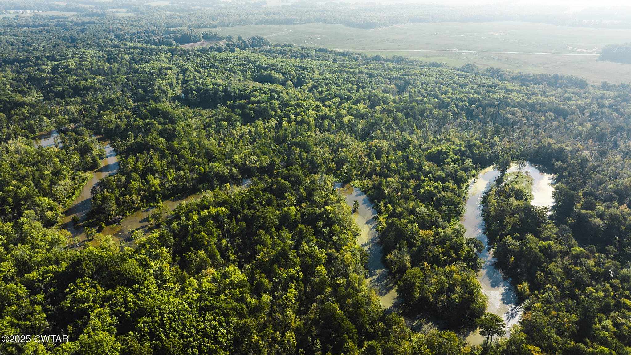 0 Brazil Eaton Road Trenton, TN 38382 - Photo 12 of 27 a view of a field of grass and trees