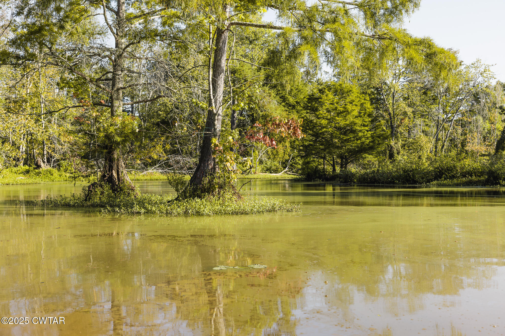 0 Brazil Eaton Road Trenton, TN 38382 - Photo 14 of 27 a view of an ocean