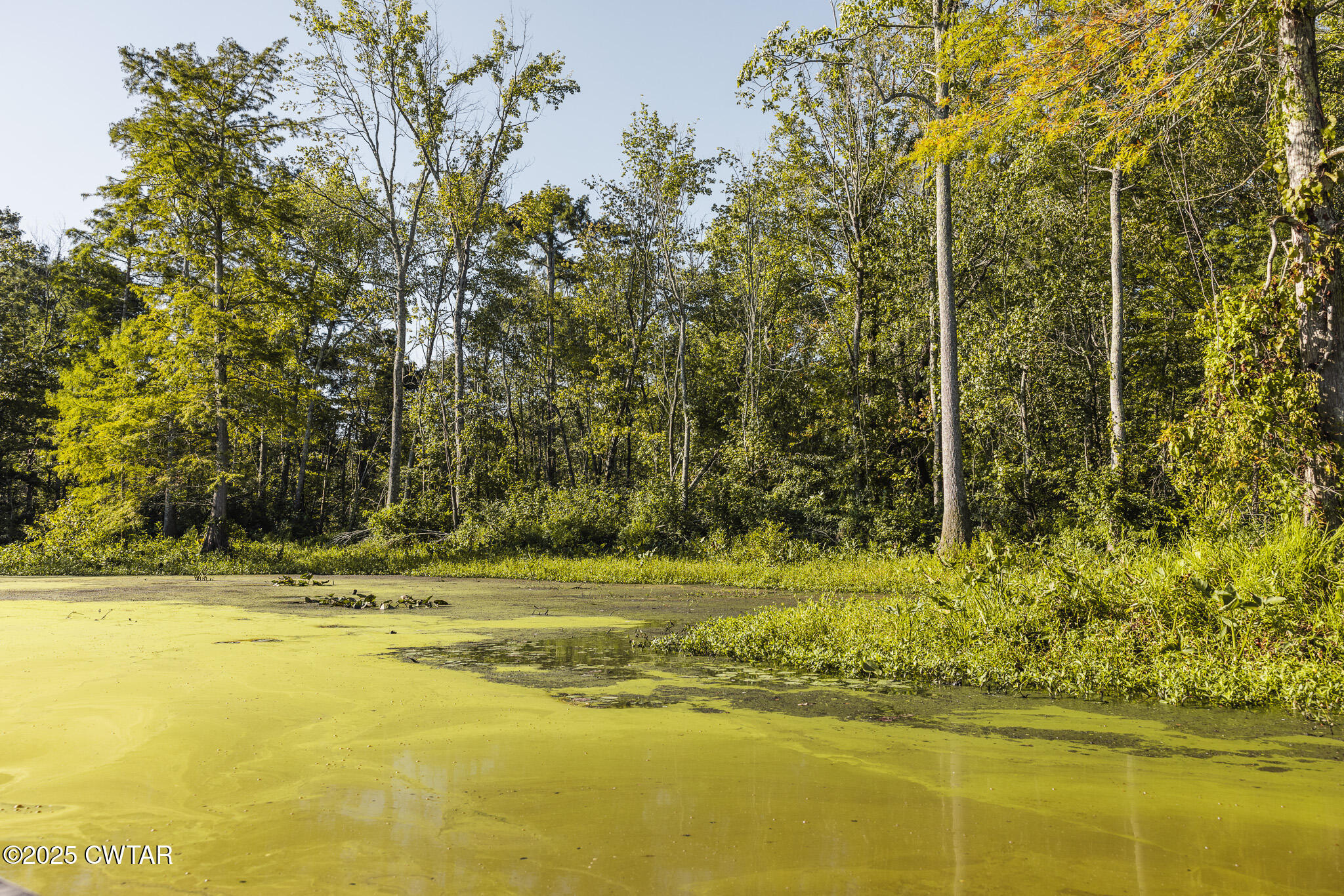 0 Brazil Eaton Road Trenton, TN 38382 - Photo 15 of 27 a view of a swimming pool with an outdoor space and seating area