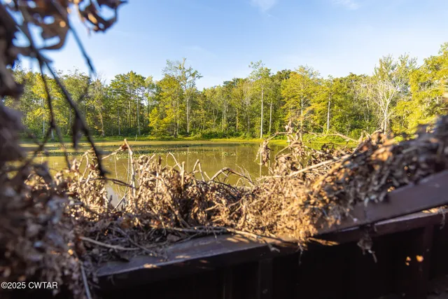 a view of a lake with a building in the background