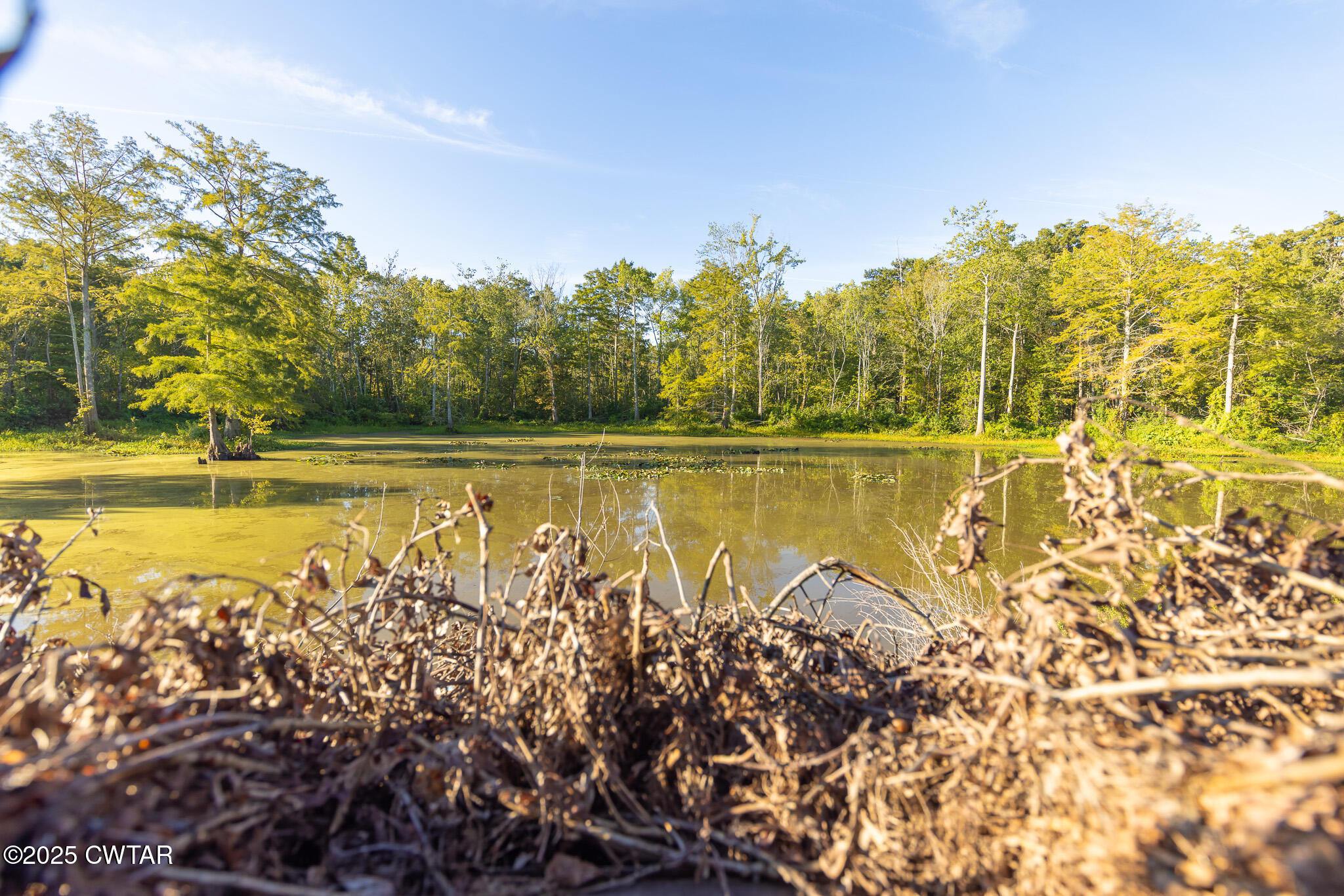 0 Brazil Eaton Road Trenton, TN 38382 - Photo 19 of 27 a view of a lake with houses in the back