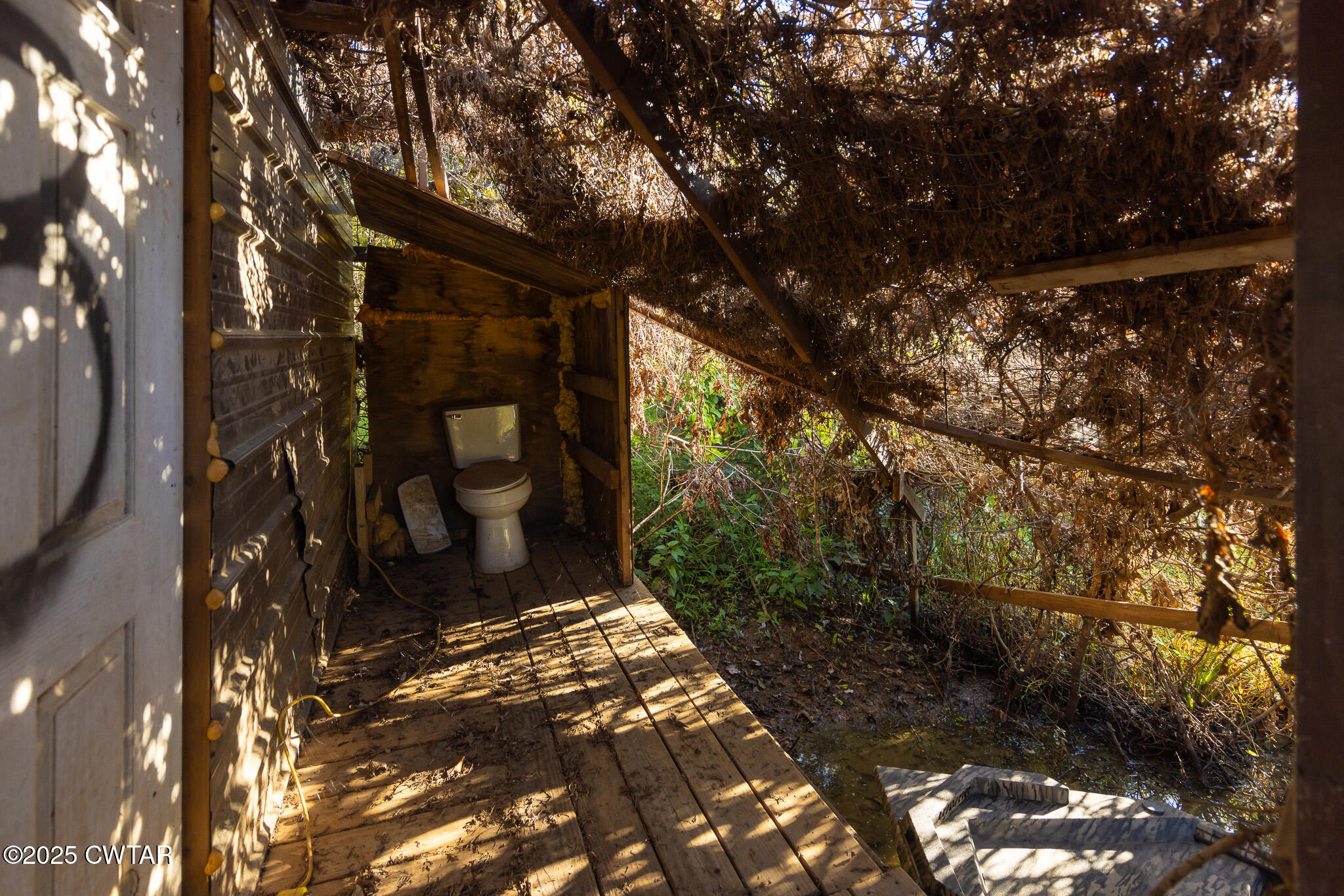 0 Brazil Eaton Road Trenton, TN 38382 - Photo 20 of 27 a picture of a tree