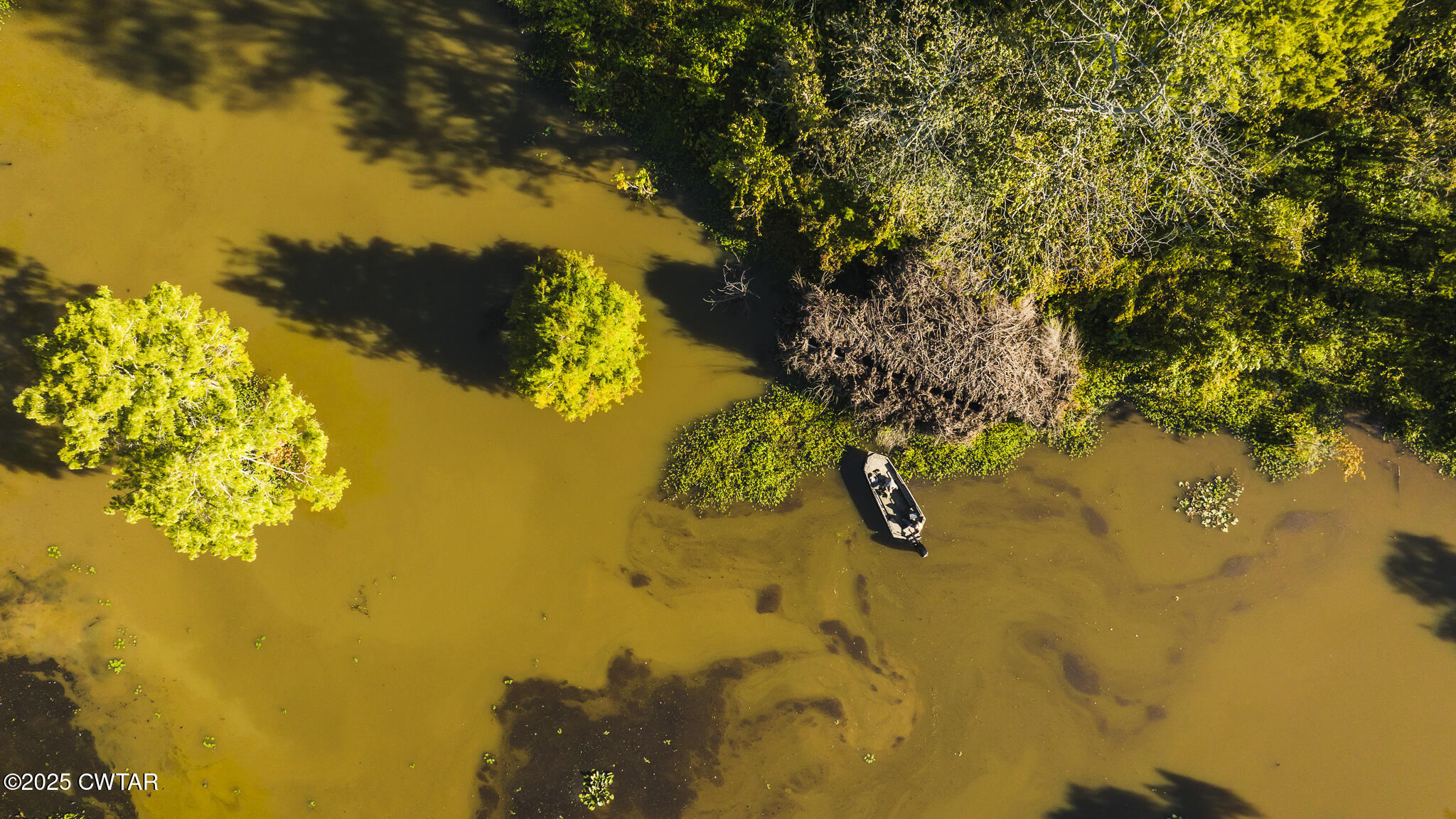 0 Brazil Eaton Road Trenton, TN 38382 - Photo 5 of 27 a view of lake