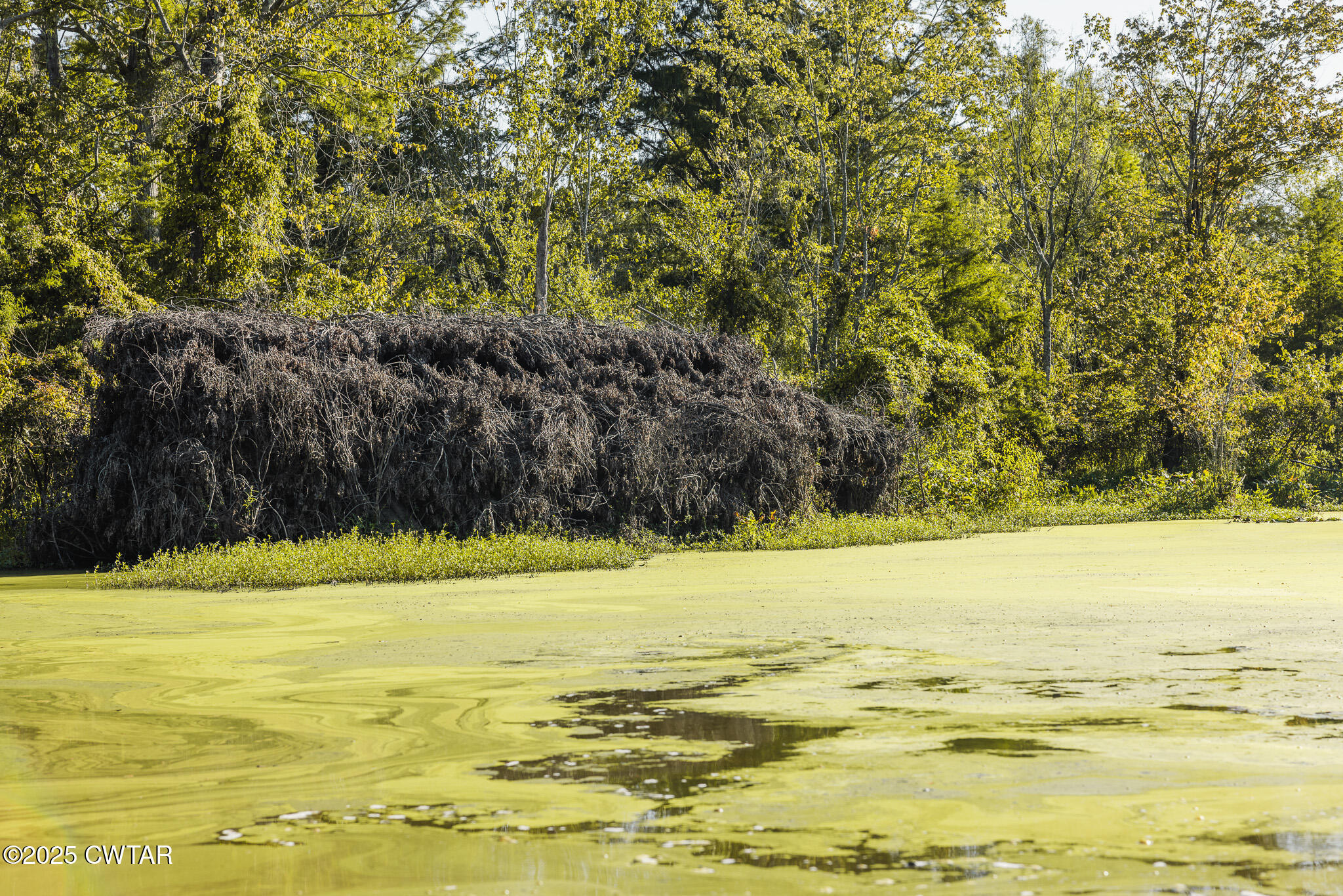 0 Brazil Eaton Road Trenton, TN 38382 - Photo 6 of 27 a view of an ocean