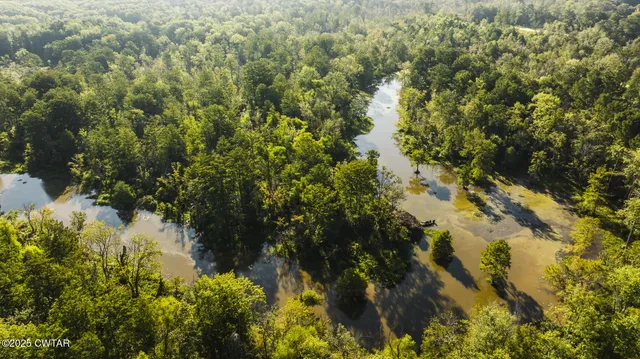 a view of a lake with a tree