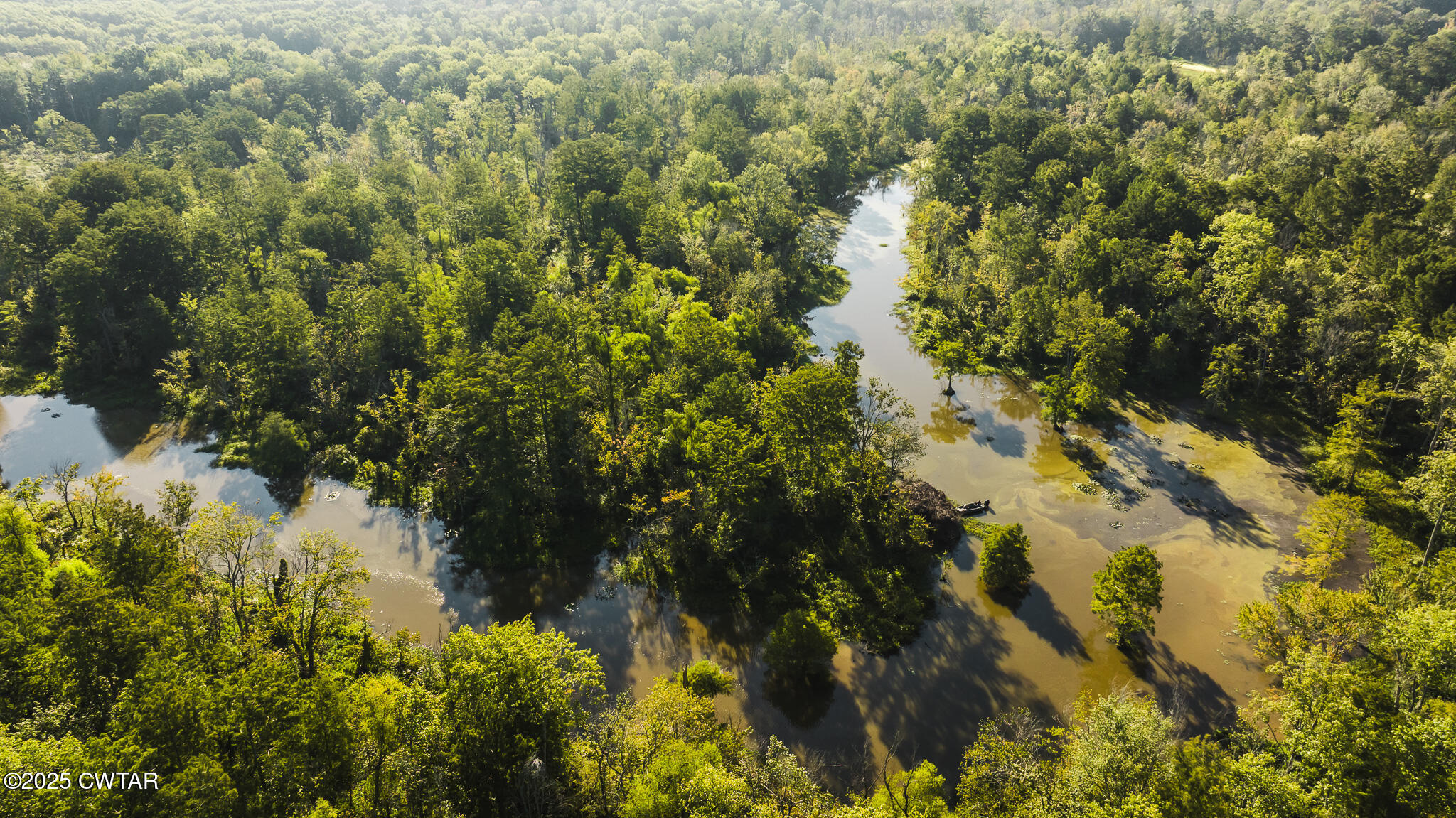 0 Brazil Eaton Road Trenton, TN 38382 - Photo 9 of 27 a view of a lake with a tree