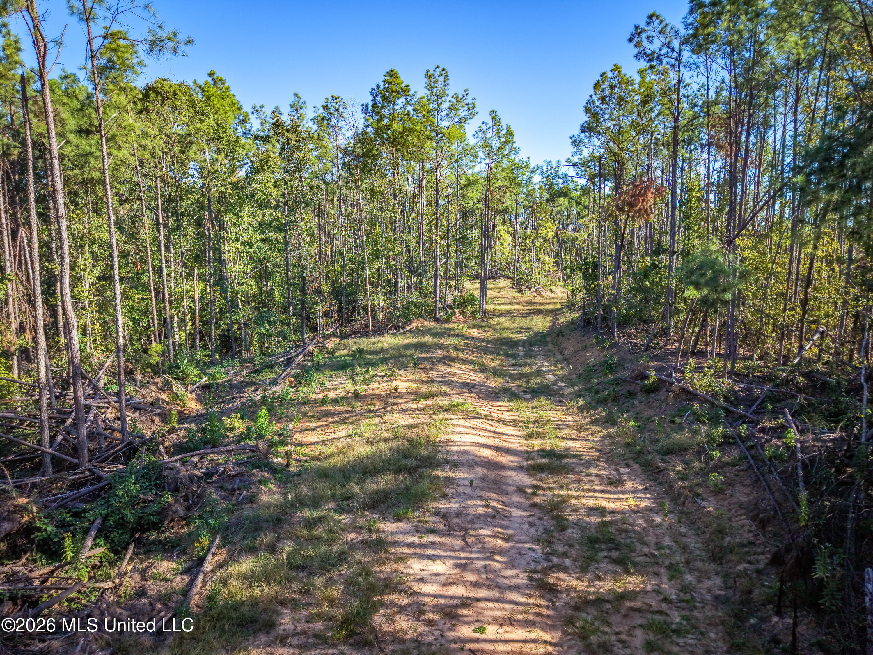 2000 Deer Creek Road Batesville, MS 38606 - Photo 15 of 54 Gary Woody Property (16)