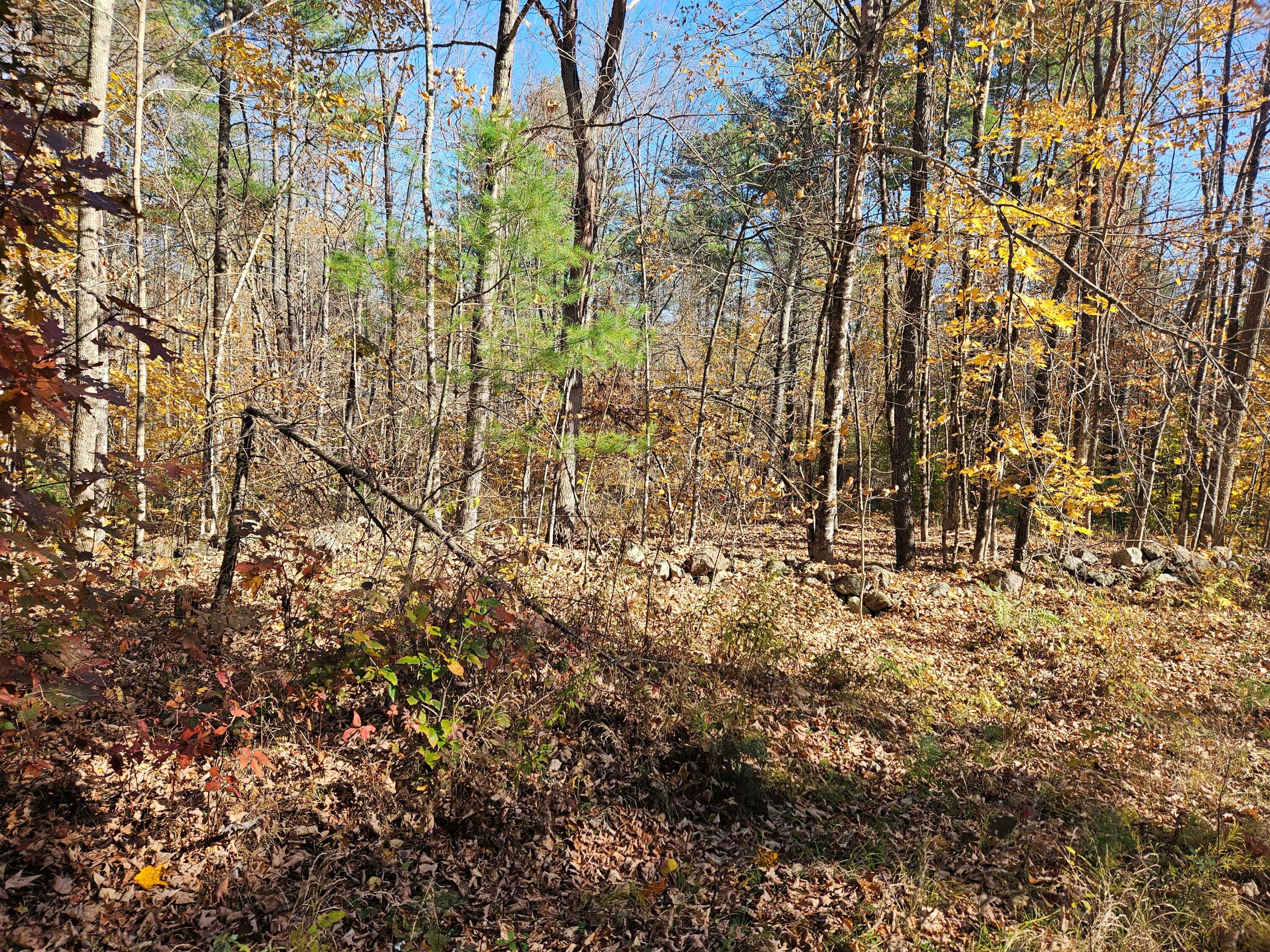 Lot #013 Staples Road West Newfield, ME 04095 - Photo 2 of 10 20241021_135453