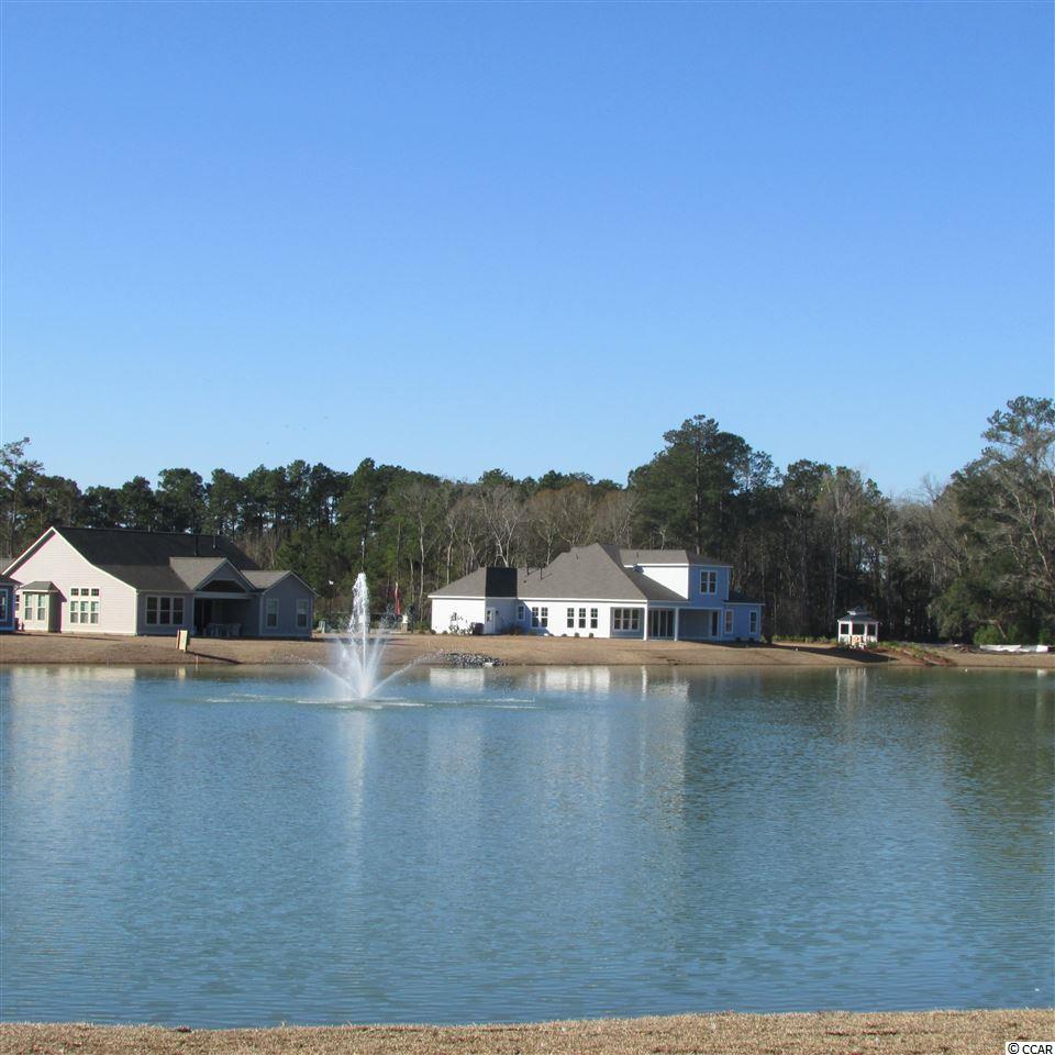 267 Hyacinth Loop Murrells Inlet, SC 29576 - Photo 3 of 25 Gallery Image 3