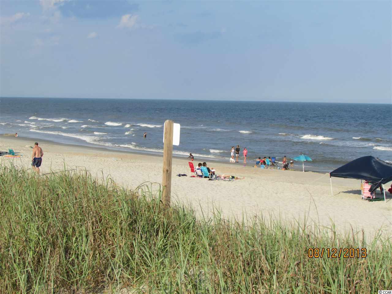 267 Hyacinth Loop Murrells Inlet, SC 29576 - Photo 6 of 25 Gallery Image 6