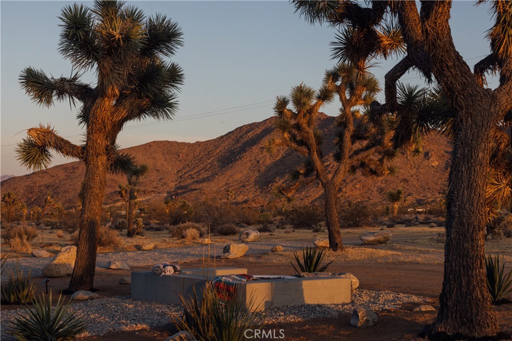 60220 Drexel Road Joshua Tree, CA 92252 - Photo 63 of 75 Gallery Image 63