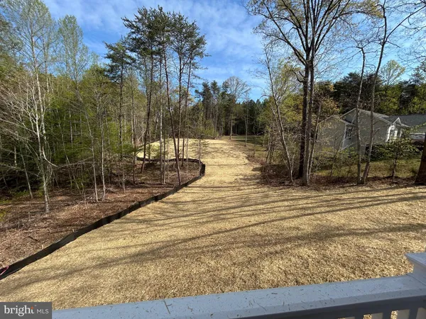 a view of a yard with trees