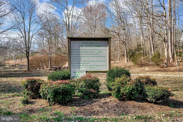 a view of a park with plants and trees