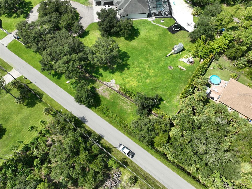 Oceanside St Port North Port, FL 34286 - Photo 8 of 10 a view of a garden with a flower plants